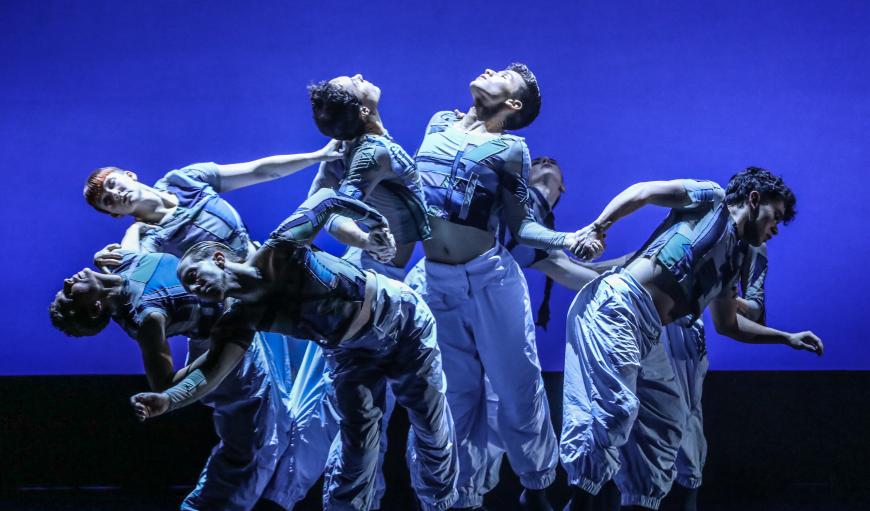 Backhausdance