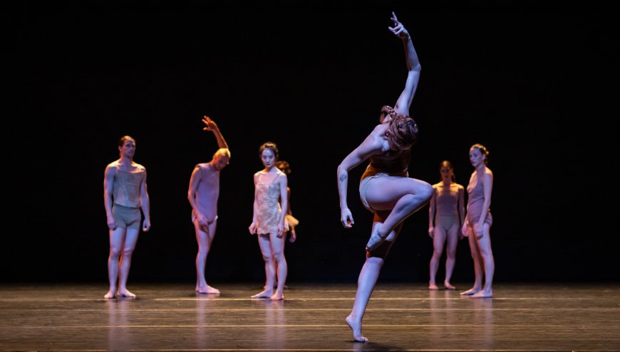 Batsheva Dance Company