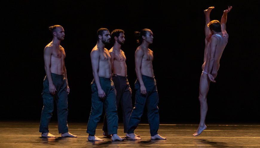 Batsheva Dance Company
