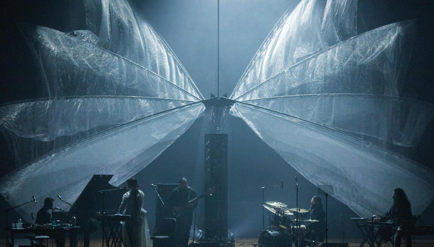 Bird of a Thousand Voices