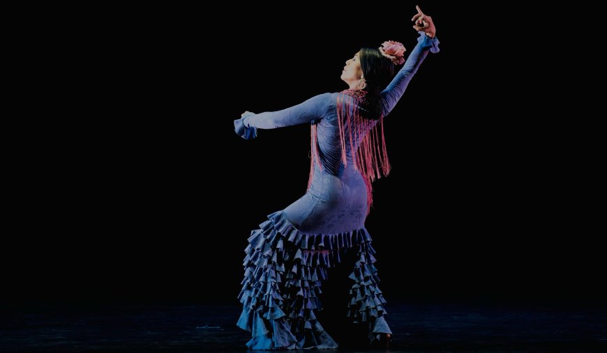 Melissa Cruz Flamenco