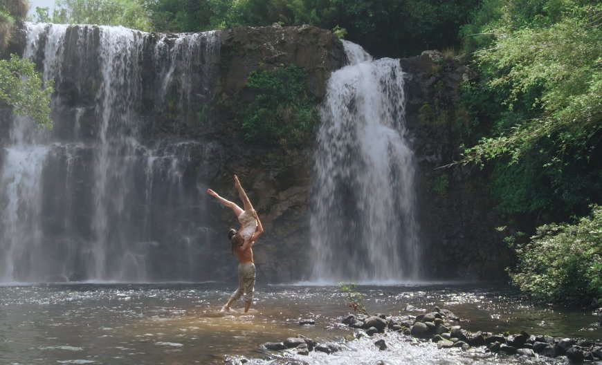Sf Dance Film festival