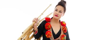 Van-Anh Vo
