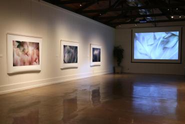 The Studio at Marin Art and Garden Center 