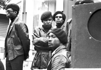 sanqpanthers[StephenShames]_wide.jpg