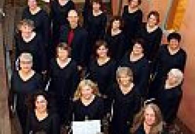 voci_wide.jpg