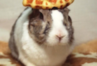 waffle-opera-1.png