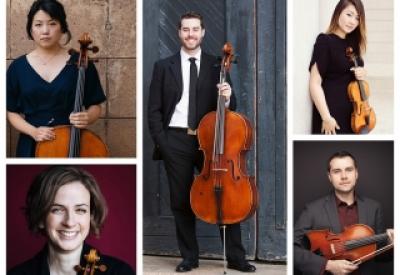 celloplusplus.jpg