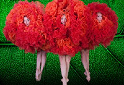 cal-performances-viva-momix-3-john-kane.jpg