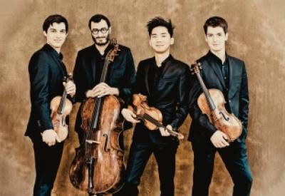 arod_quartet_4.jpg