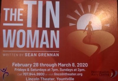 the_tin_woman.jpeg