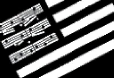 nacusasf_logo_trimmedsmall.jpg
