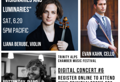 digital_concert_6_photogrid.png