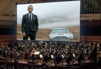 Skyfall in concert