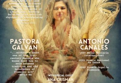 Los Angeles International Flamenco Festival