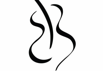 Symphony Parnassus logo