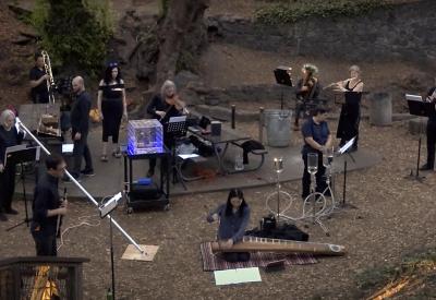 The bird ensemble performs outdoors under a tree.