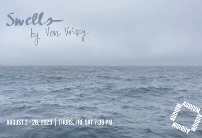 Swells by Ven Voisey at Audium 
