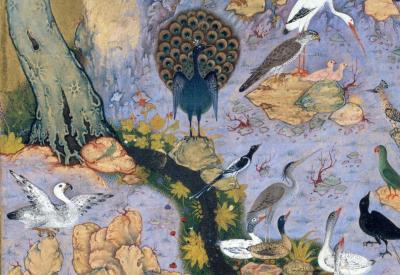 The Conference of the Birds