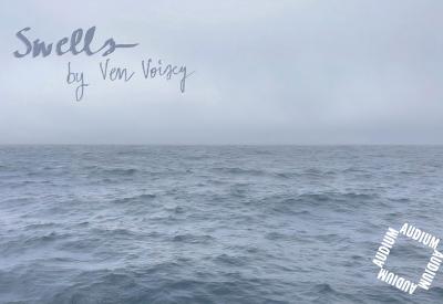 Swells by Ven Voisey at Audium 