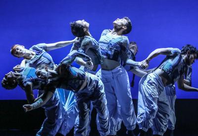 Backhausdance