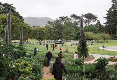Audience members walk through the SF Botanical 