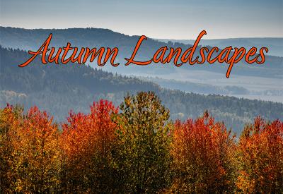 Colorful autumn foliage in front of blue mountains