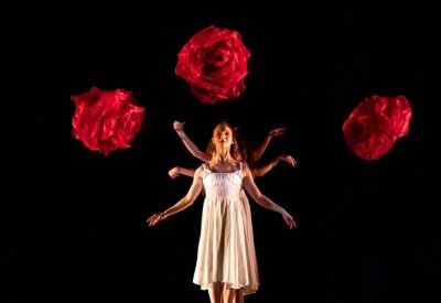 MOMIX dancer in a white dress with three roses around her.
