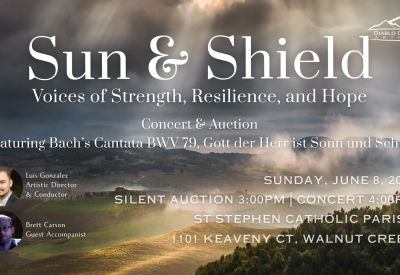 Sun & Shield - Voices of Strength, Resilience, and Hope overlayed on an image of sunlight filtering through clouds over rolling hills of green and yellow fields and wooded areas