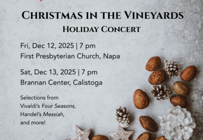 Christmas in the Vineyards Debuts this December in Napa!