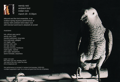 Wendy Reid's Ambient Bird-Indian Rock 2026 with sfSOUND and the bird ensemble
