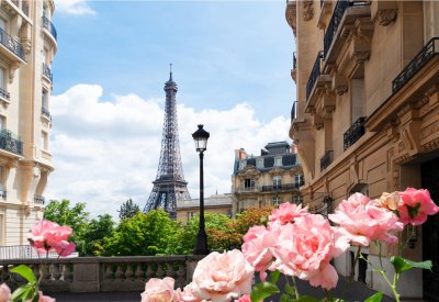 A view of the Eiffel Tower, with pink roses in the foreground and two buildings framing the landmark