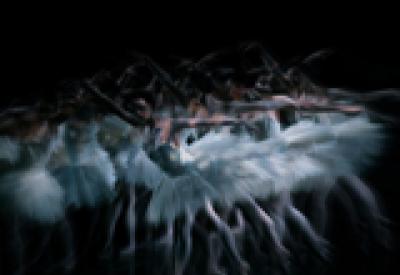 swanlake160.jpg