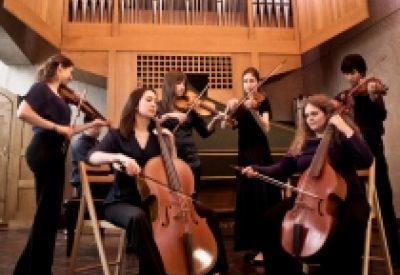 MUSA Seventh Avenue Performances.png