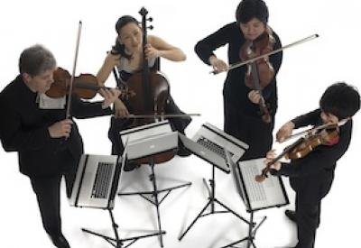 BorromeoString2011.jpg