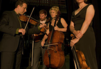 Cypress_String2010.png