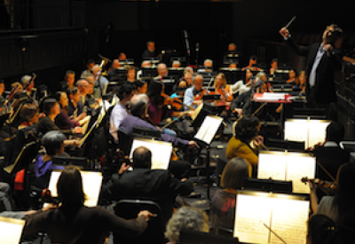 SFB-orchestra.png