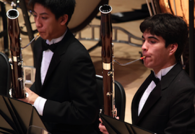 YPSO-bassoons.png