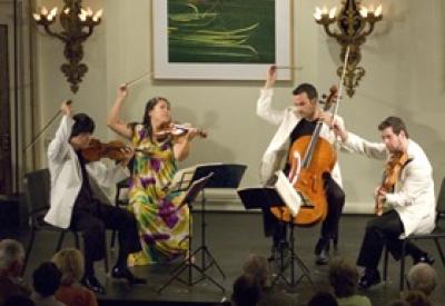 miroqtet_0.jpg