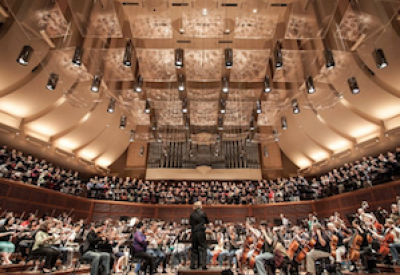 redwood-symphony_0.png