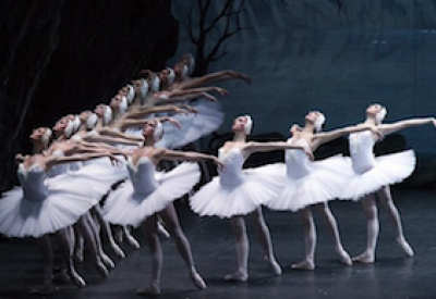 swan-lake-cal-performances.png