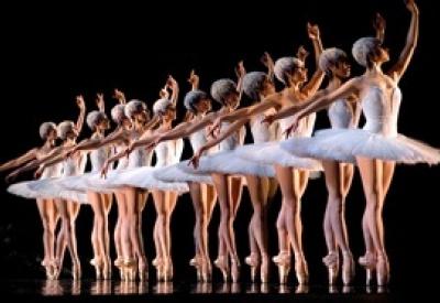 swanlake.jpg