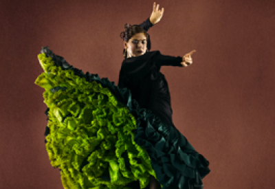 Flamenco_72.png