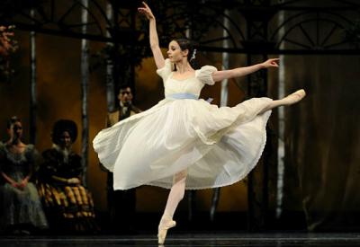 SFB-maria_kochetkova-header.jpg