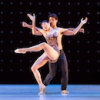 LINES Ballet Constellation
