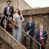 Friction Quartet