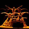 Alvin Ailey American Dance Theater