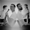 The JACK Quartet