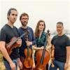 Del Sol Quartet