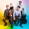 friction_quartet_180.jpg